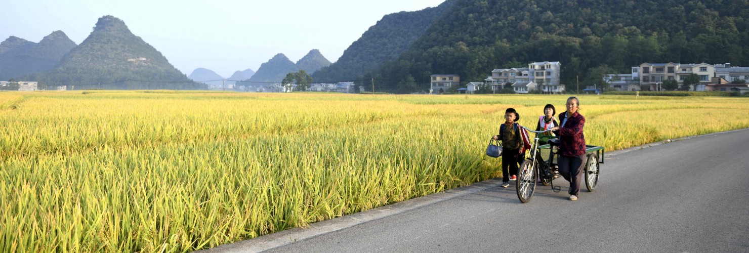  People pass by a rice field in Anlong County, Guizhou Province