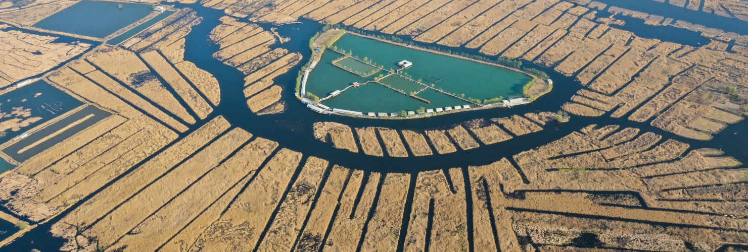 Baiyangdian Lake in Xiongan