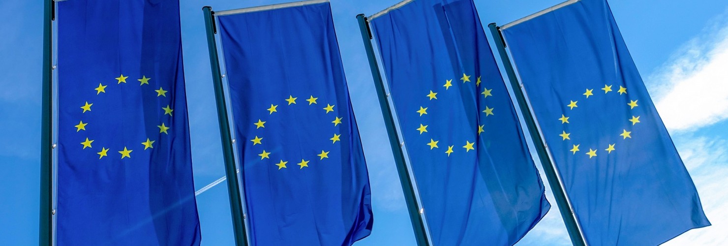 EU flags