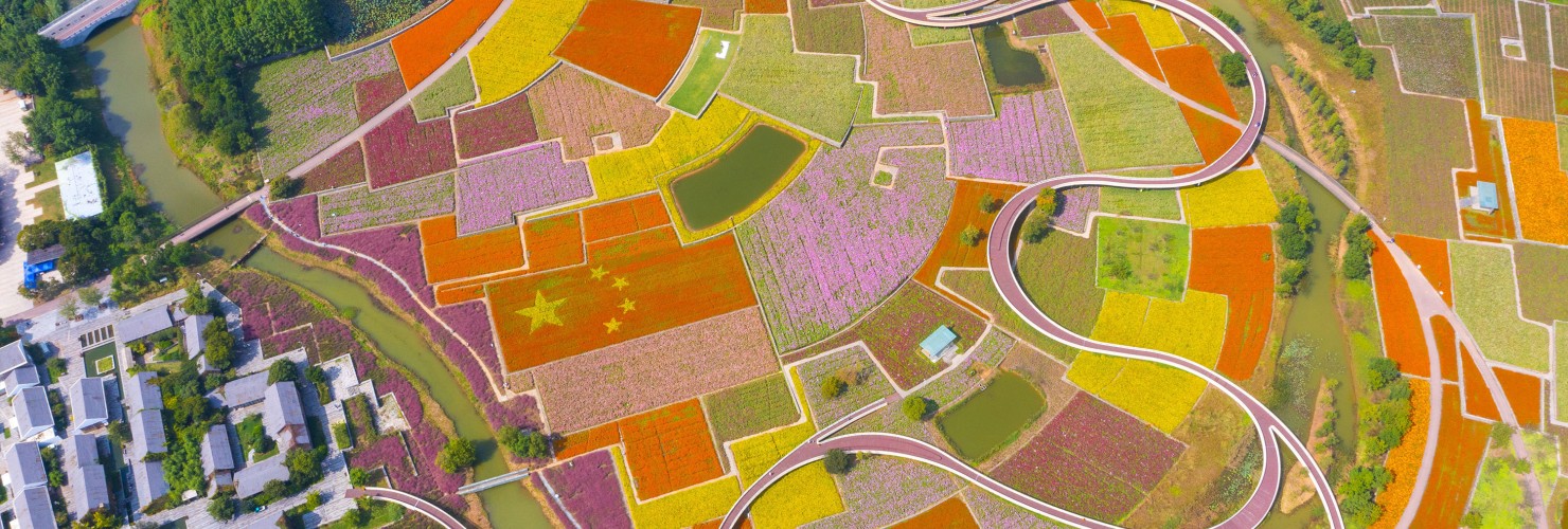 An aerial photo taken on September 29, 2021 shows a five-star red flag composed of autumn flowers in a patch of Flowers in Santaishan Forest Park in Suqian City, Jiangsu Province, China.