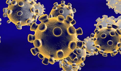 3D illlustration of the coronavirus